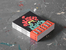 Load image into Gallery viewer, Artery, Allison Katz