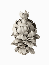 Load image into Gallery viewer, Mineral Fruit, Phoebe Cummings