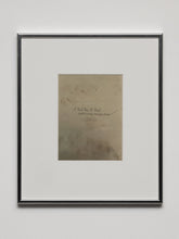 Load image into Gallery viewer, Lines and Fields, Liz Larner