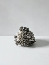 Load image into Gallery viewer, Lush (5), Phoebe Cummings