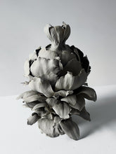 Load image into Gallery viewer, Mineral Fruit, Phoebe Cummings