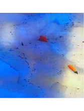 Load image into Gallery viewer, Untitled, Olga Balema