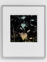 Load image into Gallery viewer, The Fertile Forest (Framed), Hannah Collins