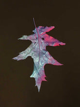 Load image into Gallery viewer, Supernature, Simon Periton