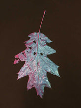 Load image into Gallery viewer, Supernature, Simon Periton