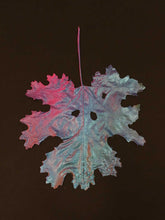 Load image into Gallery viewer, Supernature, Simon Periton