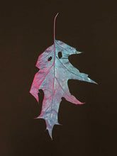 Load image into Gallery viewer, Supernature, Simon Periton