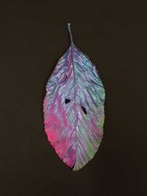 Load image into Gallery viewer, Supernature, Simon Periton