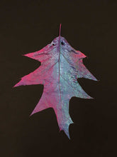 Load image into Gallery viewer, Supernature, Simon Periton