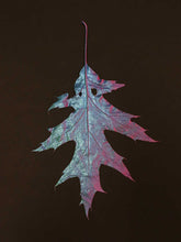 Load image into Gallery viewer, Supernature, Simon Periton