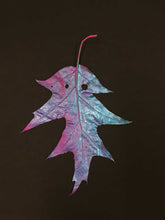 Load image into Gallery viewer, Supernature, Simon Periton