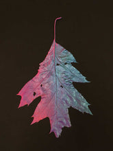 Load image into Gallery viewer, Supernature, Simon Periton