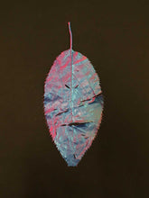 Load image into Gallery viewer, Supernature, Simon Periton