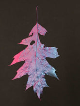 Load image into Gallery viewer, Supernature, Simon Periton