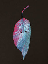 Load image into Gallery viewer, Supernature, Simon Periton