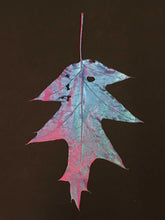 Load image into Gallery viewer, Supernature, Simon Periton