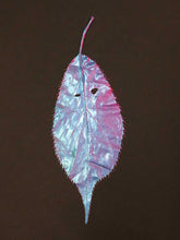 Load image into Gallery viewer, Supernature, Simon Periton