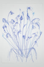 Load image into Gallery viewer, Still Lives, Christodoulos Panayiotou