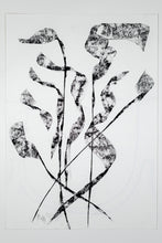 Load image into Gallery viewer, Still Lives, Christodoulos Panayiotou