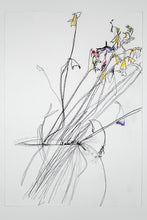 Load image into Gallery viewer, Still Lives, Christodoulos Panayiotou