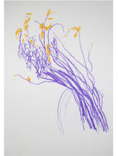 Load image into Gallery viewer, Still Lives, Christodoulos Panayiotou