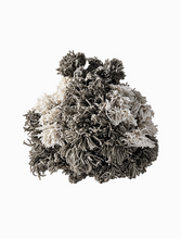 Load image into Gallery viewer, Phoebe Cummings, Lush (5)
