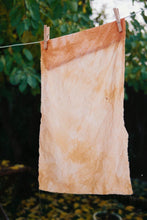 Load image into Gallery viewer, Introduction to Natural Dyes – 6 Dec 2026
