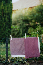 Load image into Gallery viewer, Seasonal Botanical Dyes Workshop: Autumn – 17 Oct 2026
