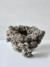 Load image into Gallery viewer, Lush (3), Phoebe Cummings
