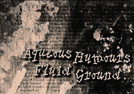 Aqueous Humours Fluid Ground