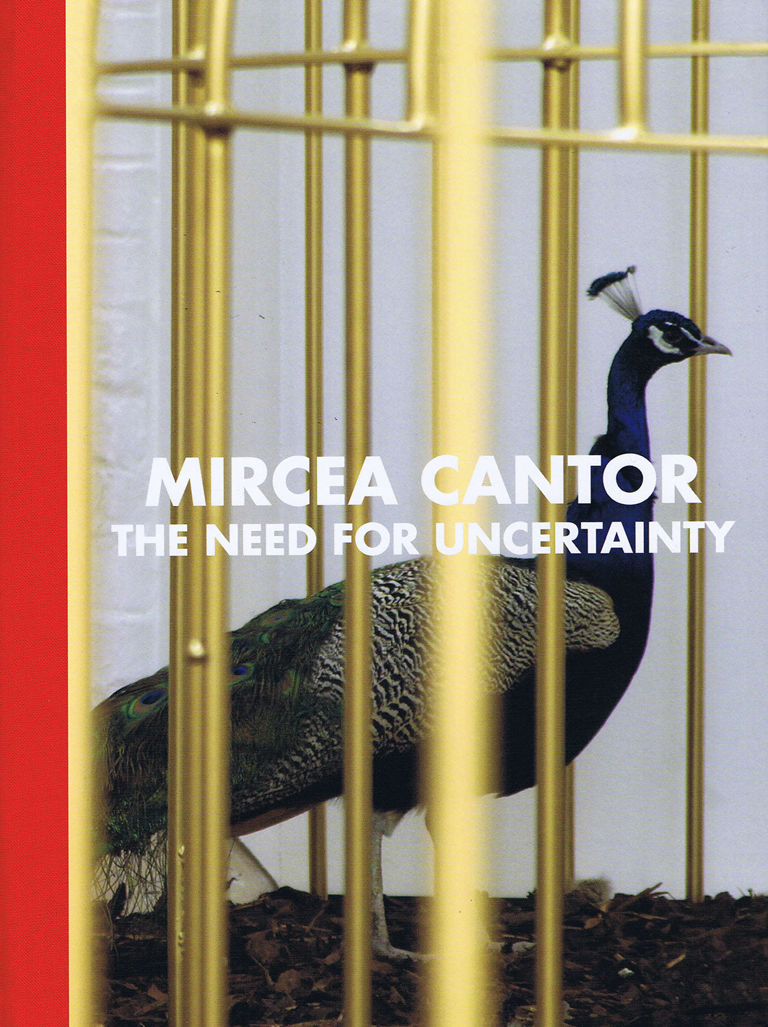 The Need for Uncertainty, Mircea Cantor